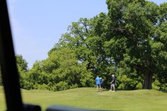 IMG_5916
