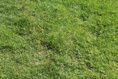 IMG_6286